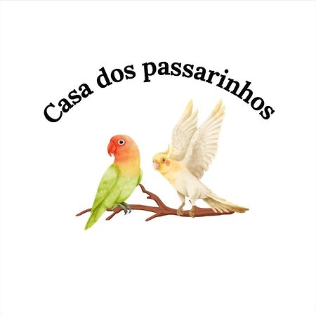 Casa Dos Passarinho'S , Lagos Eksteriør billede